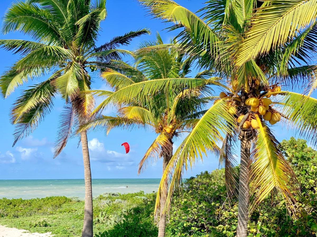 Lunarena Barefoot Hotel El Cuyo Bagian luar foto